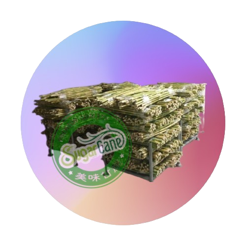 Sugarcane in Bundle 300KG